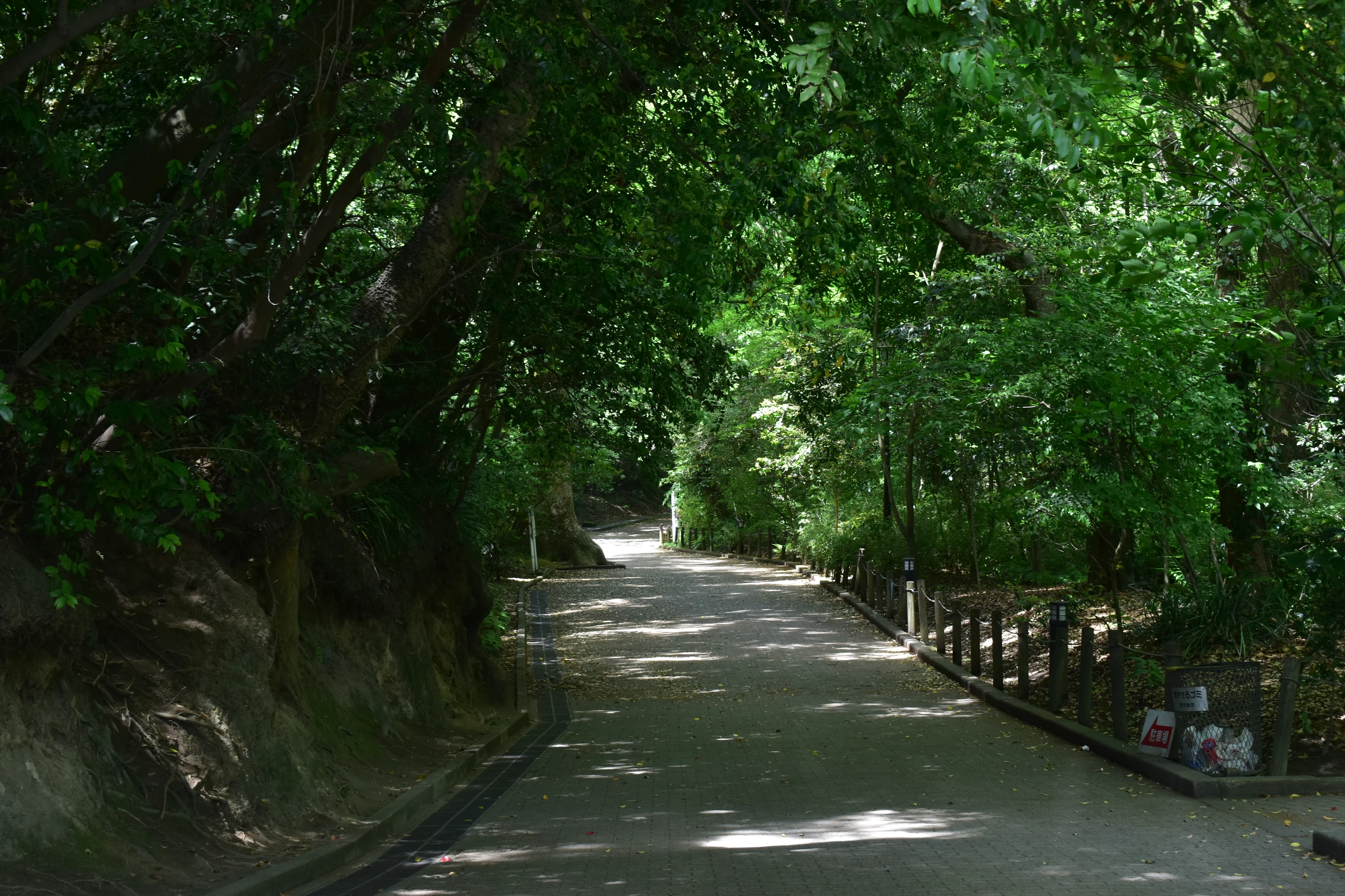 城山公園へ通じる遊歩道を上っていくと……