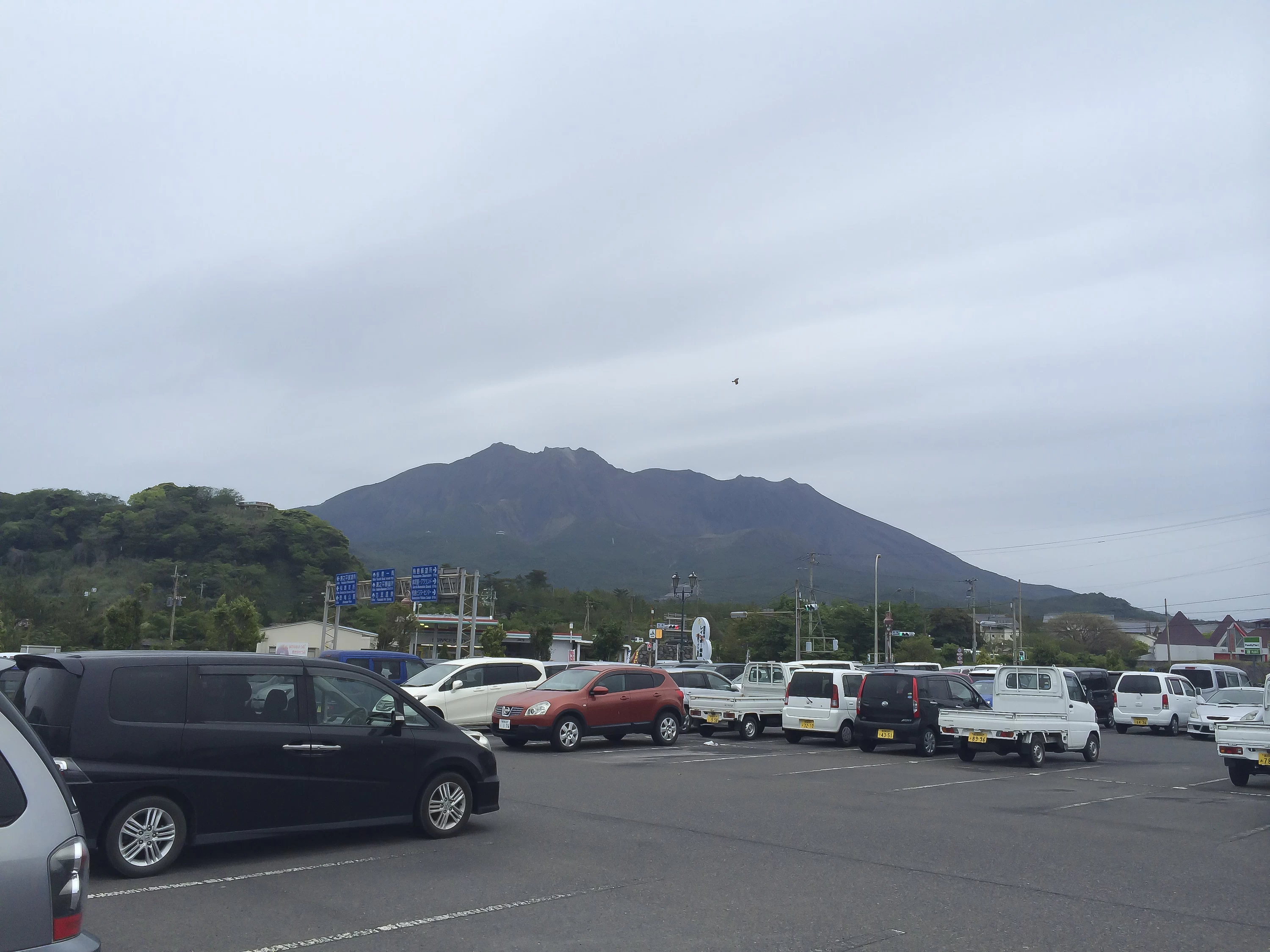 上陸して観る桜島（現地にて撮影）