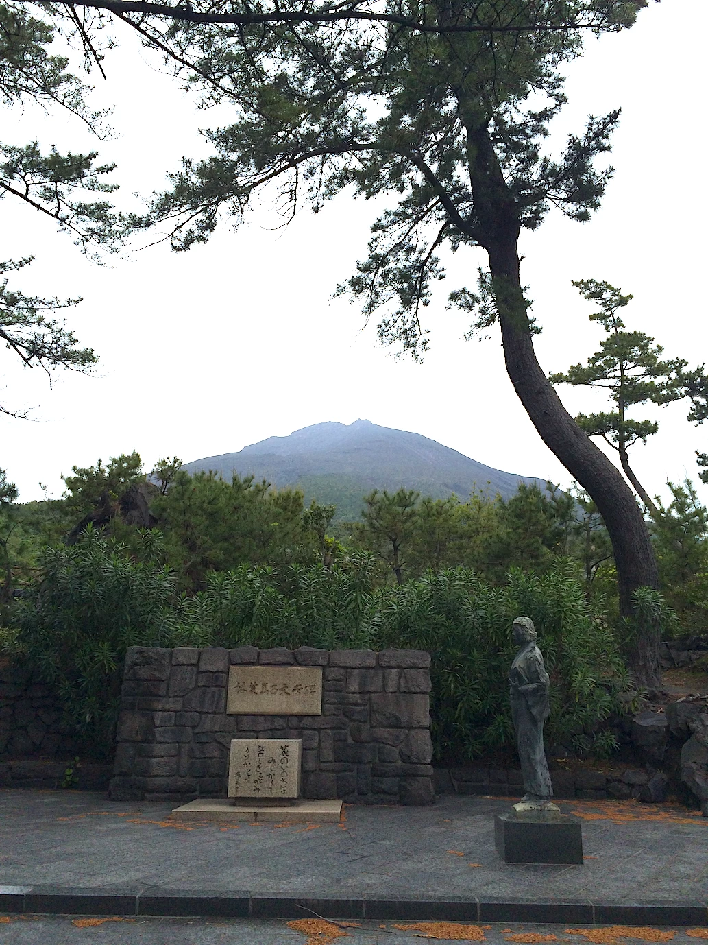 桜島と文学碑（現地にて撮影）
