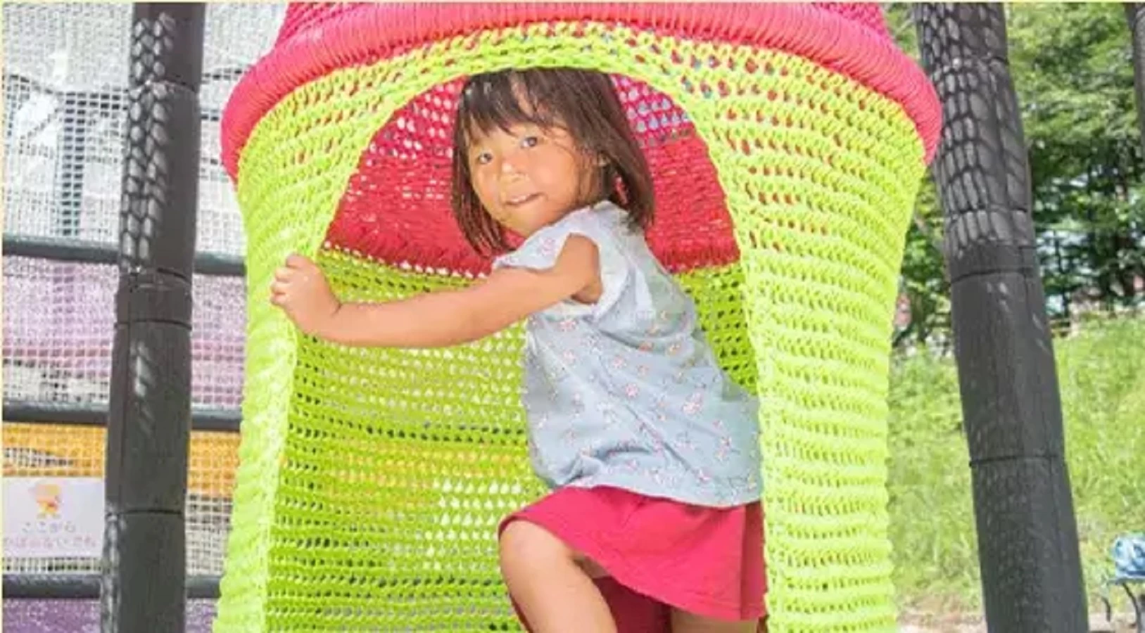 キツネノボリ②