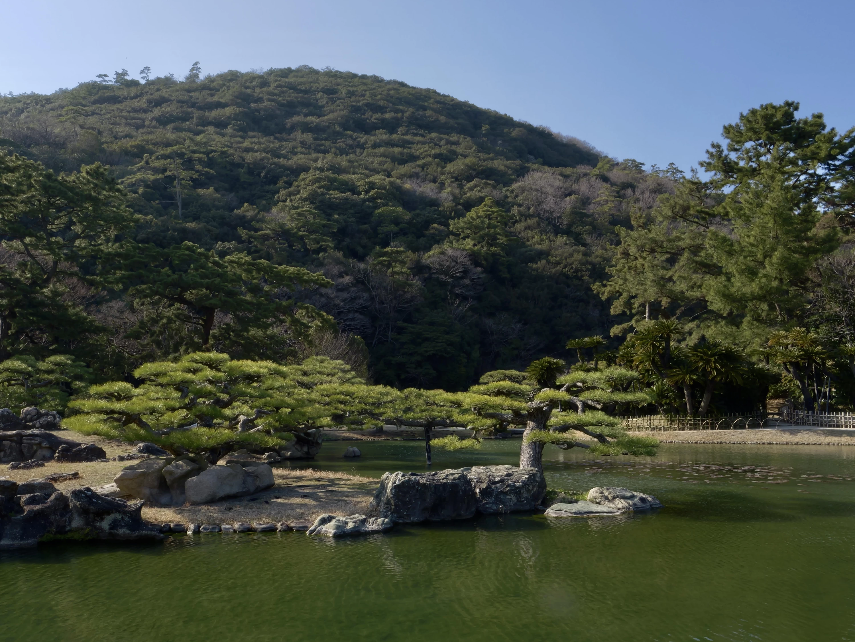 園内の景観①(現地にて撮影)