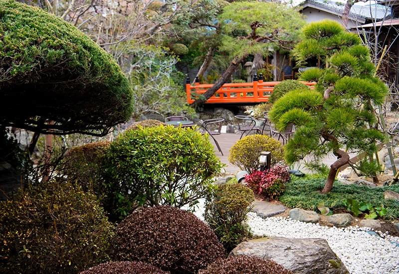 日本庭園を望むレストラン