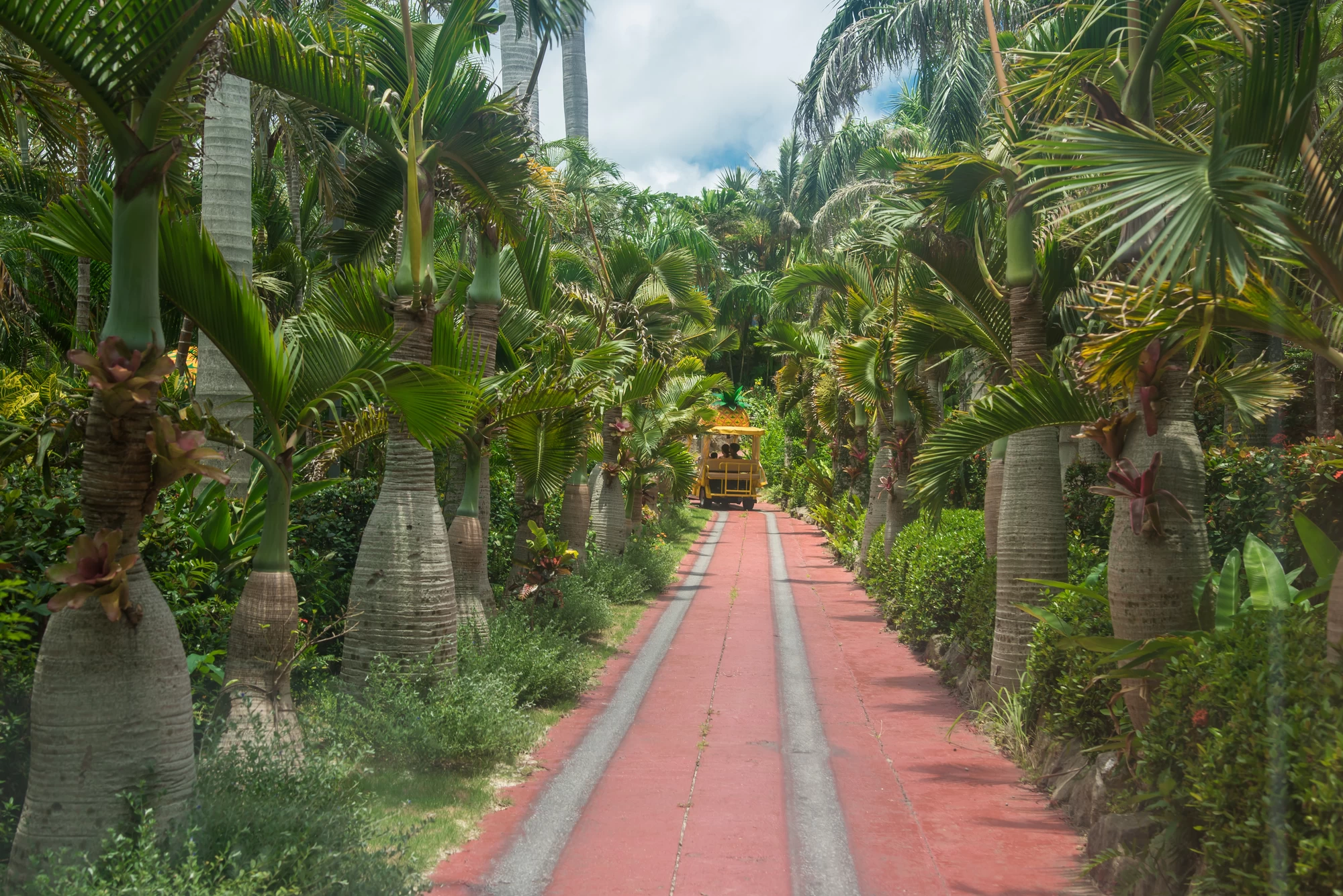 ナゴパイナップルパーク①