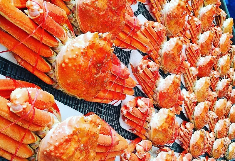 獲れたての海鮮が並ぶ