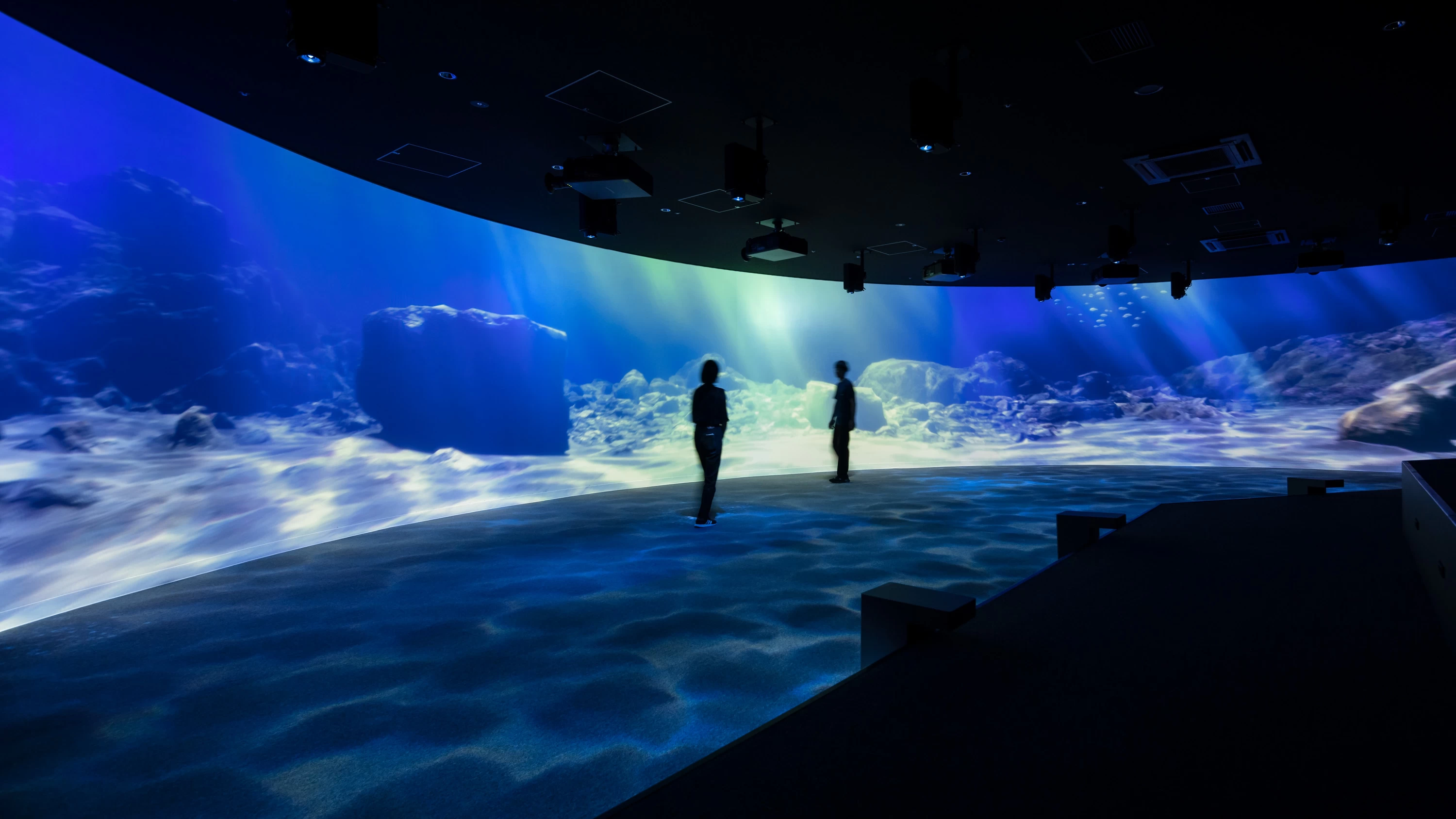 6F ブルールーム