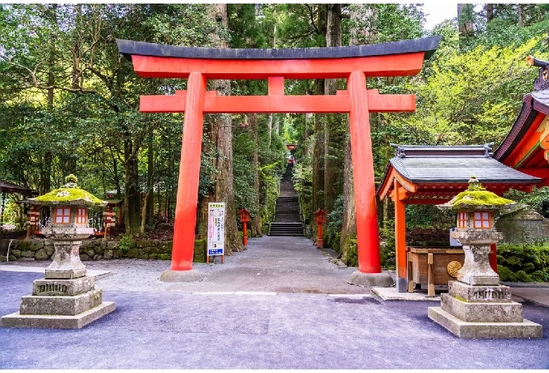 箱根神社の鳥居