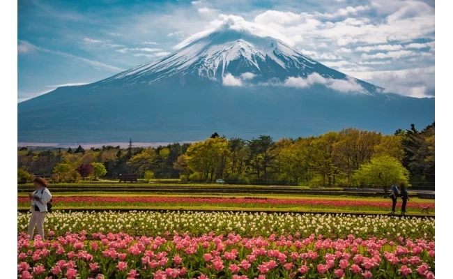 公園から見れる富士山