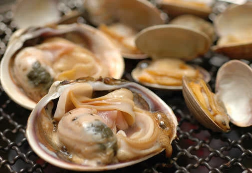 渥美産のアサリ