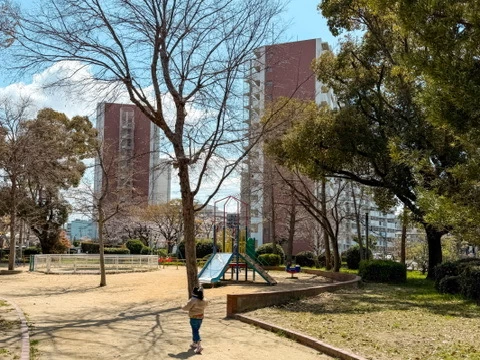 天保山公園（現地にて撮影）