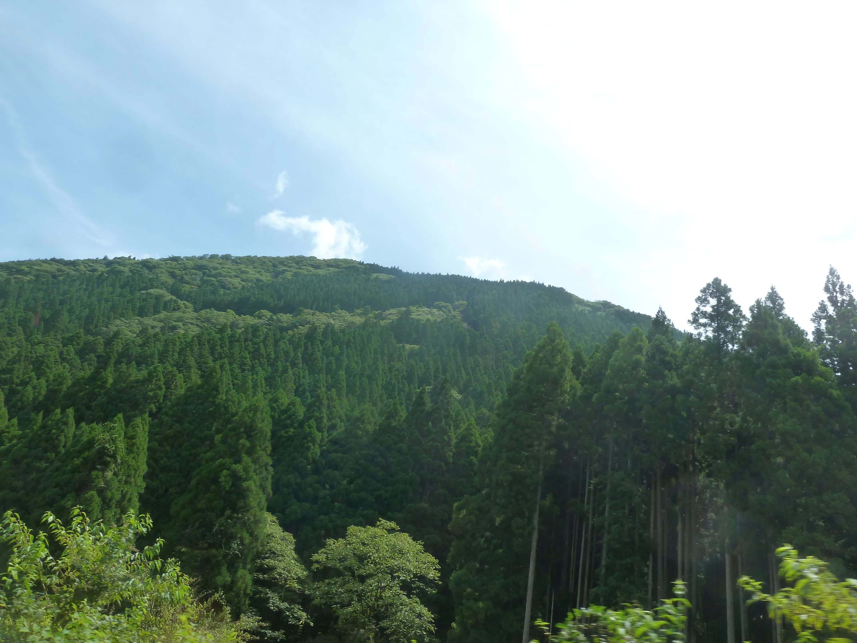 国道367号から見た蓬莱山