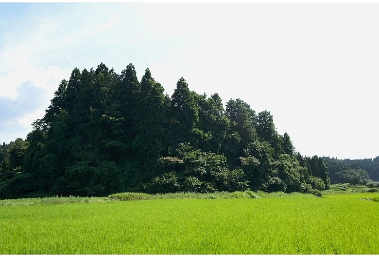 首都圏に残された緑の孤島