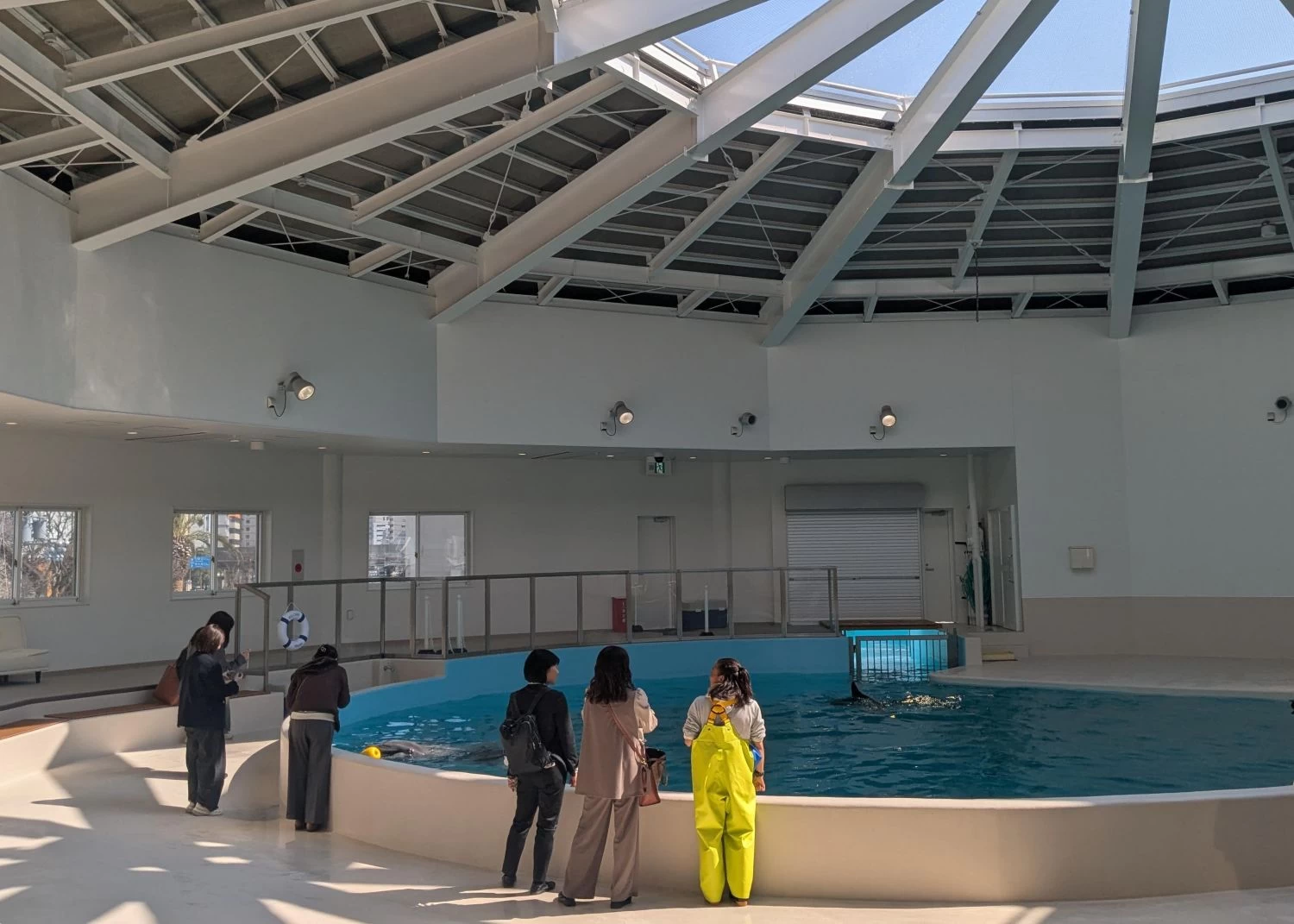 イルカプール（現地にて撮影）