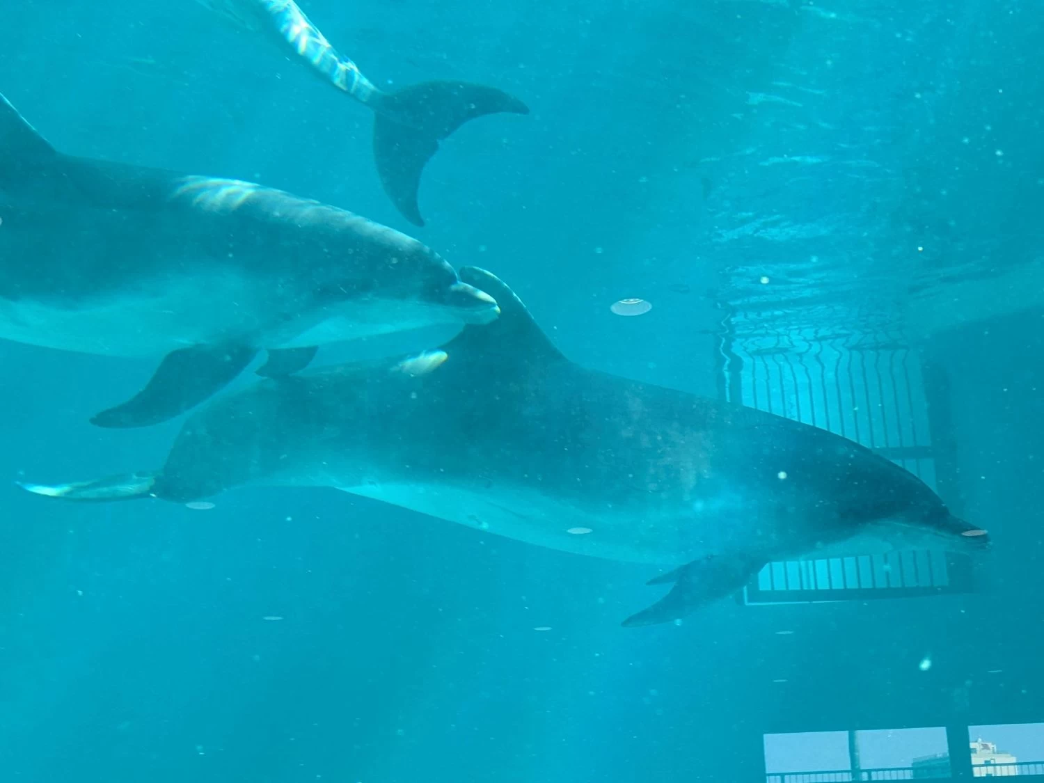 1階からの眺め（現地にて撮影）