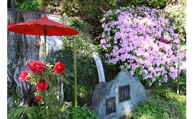 境内ではさまざまな花が見られる