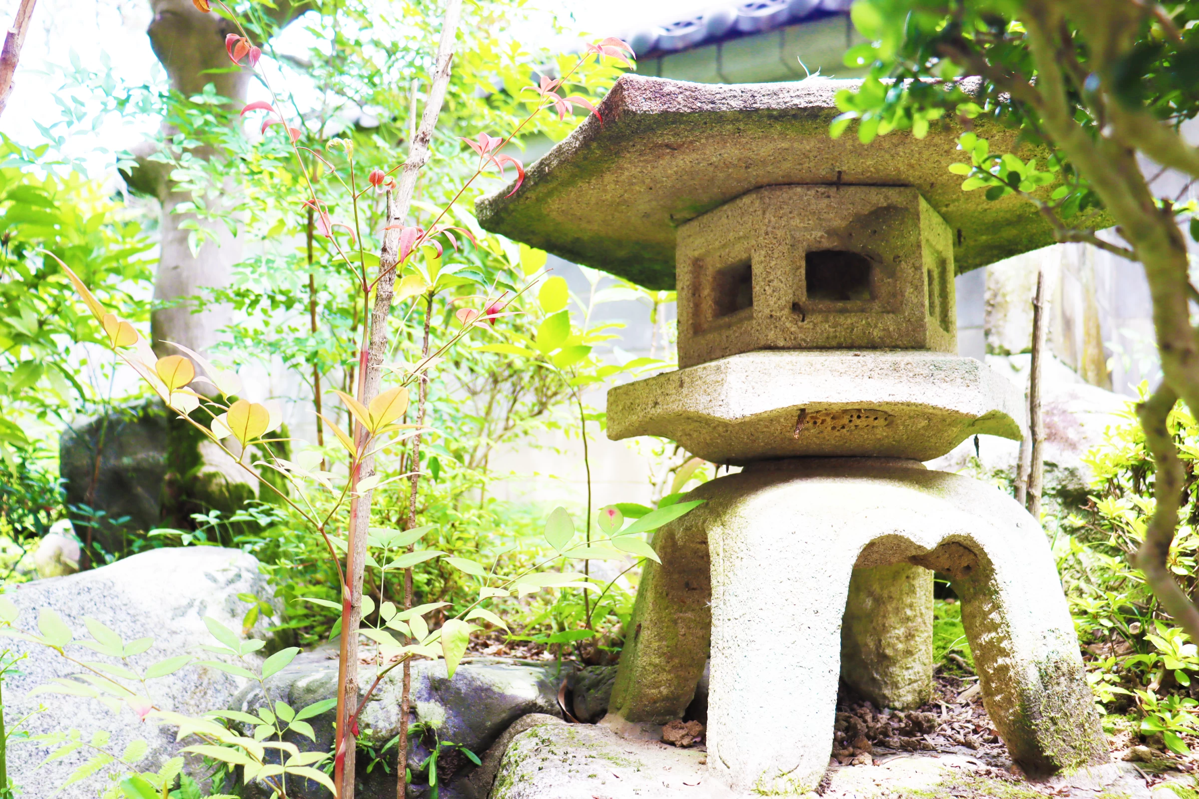 日本庭園