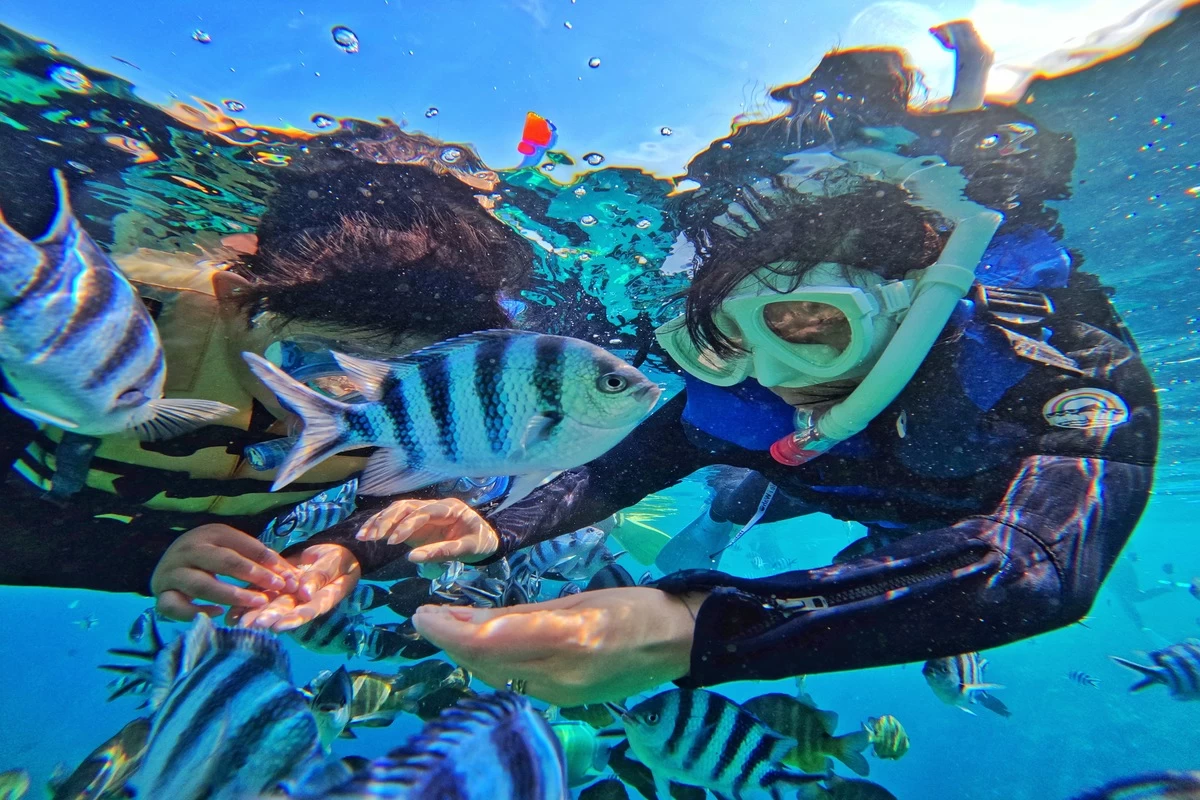 シュノーケリング体験も可能