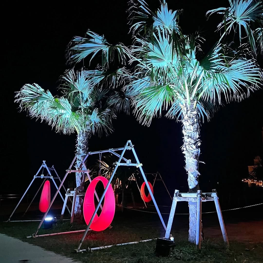 ビーチにブランコが登場