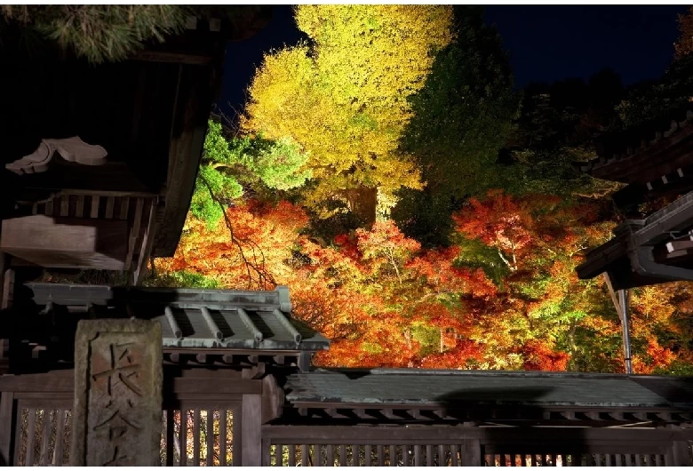 長谷寺②