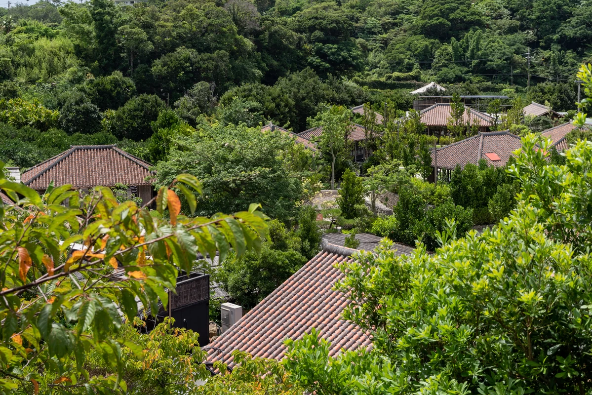 百年古家 大家 うふやー②