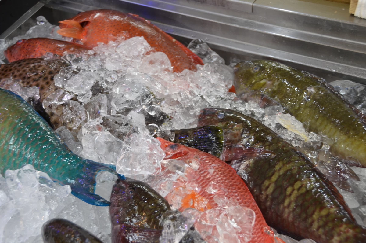 名護市営市場①