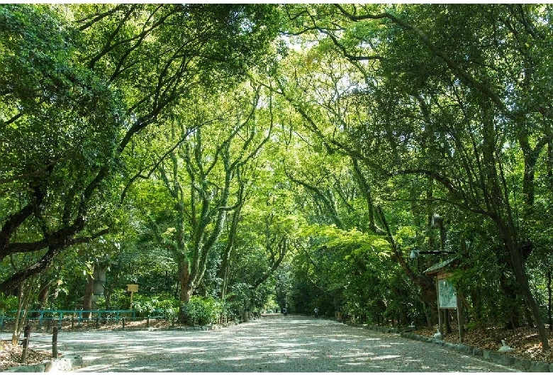 熱田神宮②