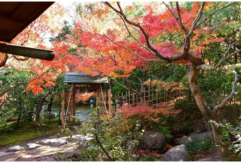 白鳥庭園②
