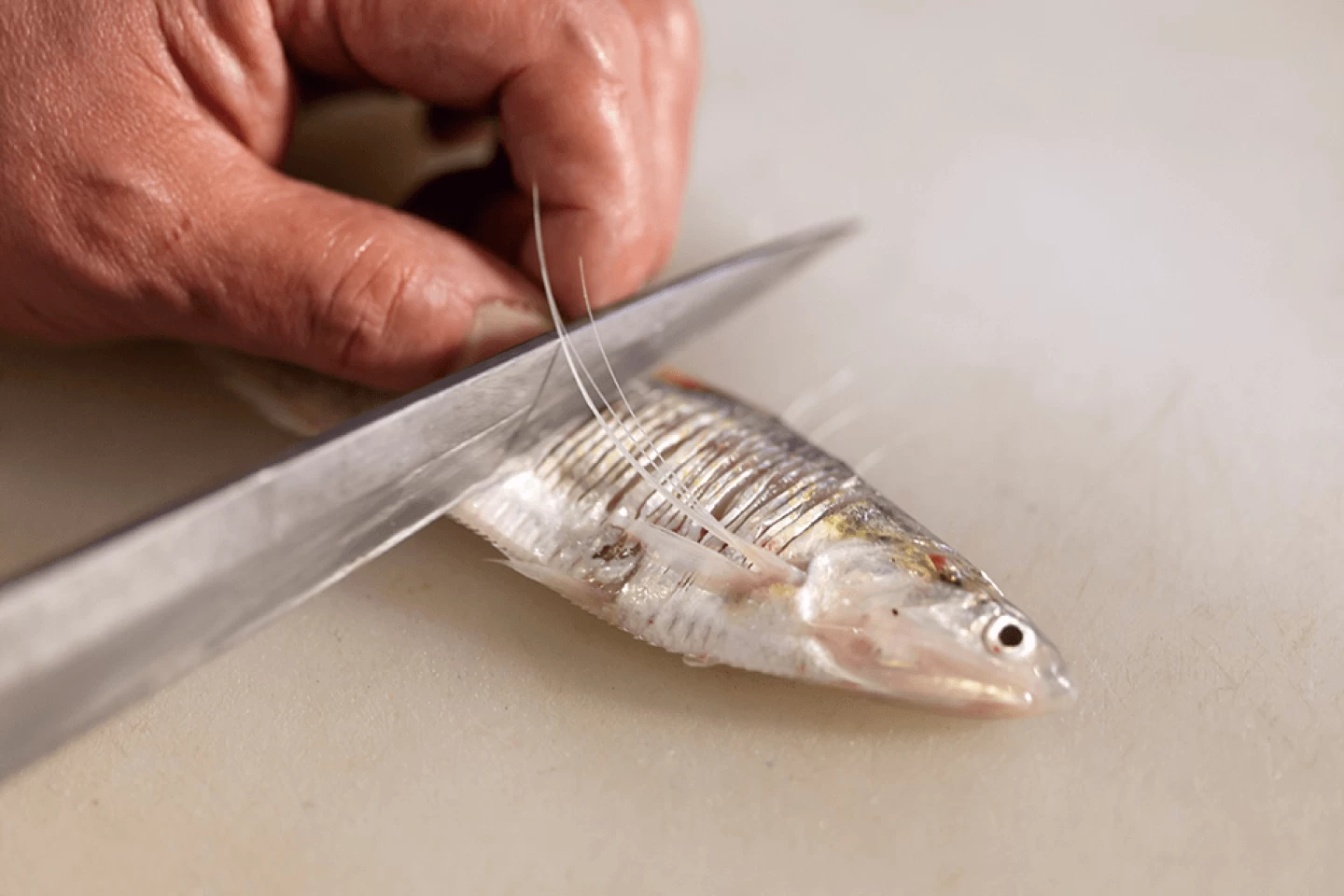 日本でえつが獲れるのは筑後川のみ