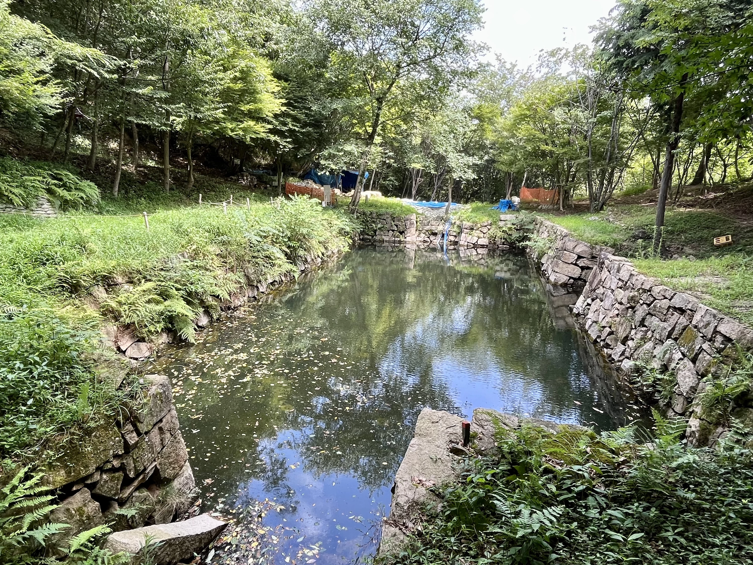 大池（現地にて撮影）