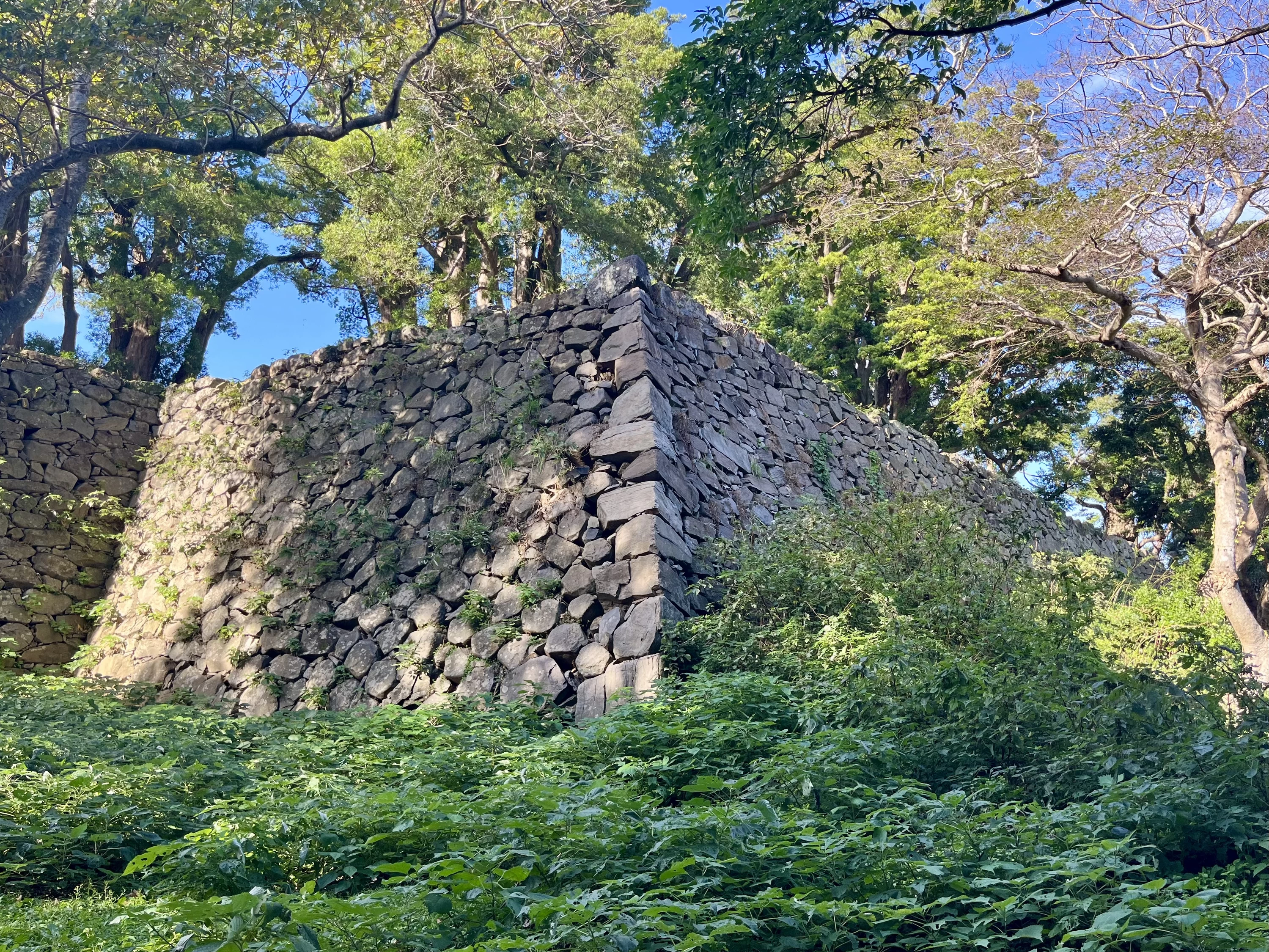 ニノ大手御門跡 付近（現地にて撮影）