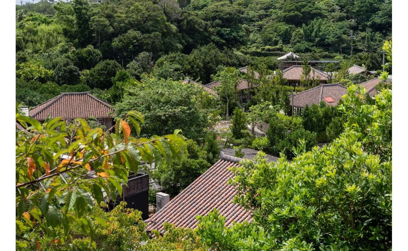 百年古家 大家 うふやー②