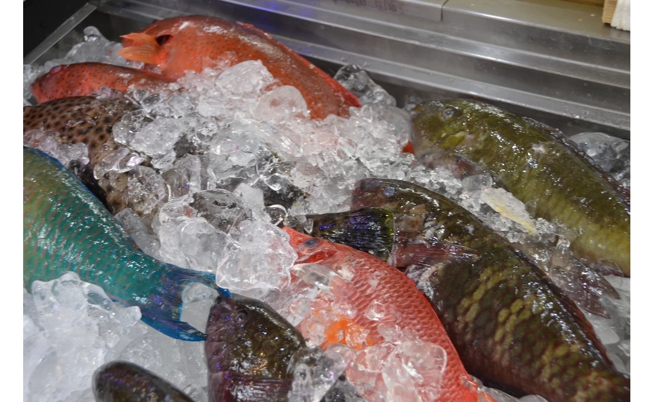 名護市営市場①