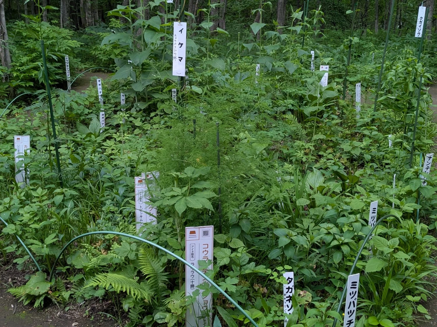 管理棟前(現地にて撮影)