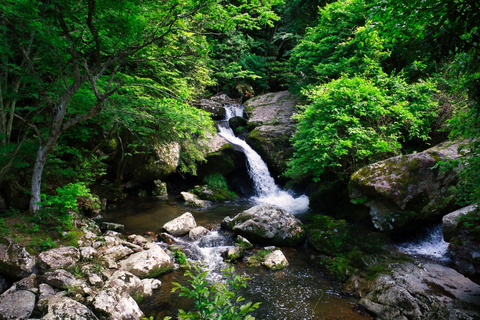 静けさに染み渡っていくような、趣深い鳴瀑