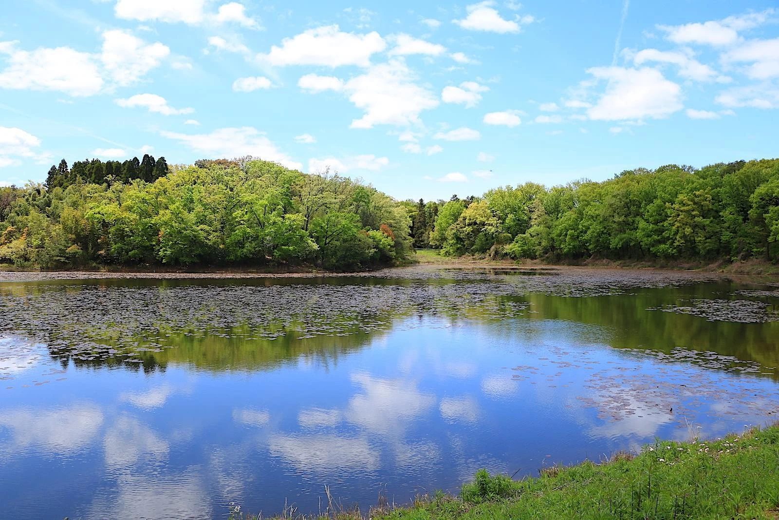 青空が映り込む爽快な塚ノ杁池（現地にて撮影）