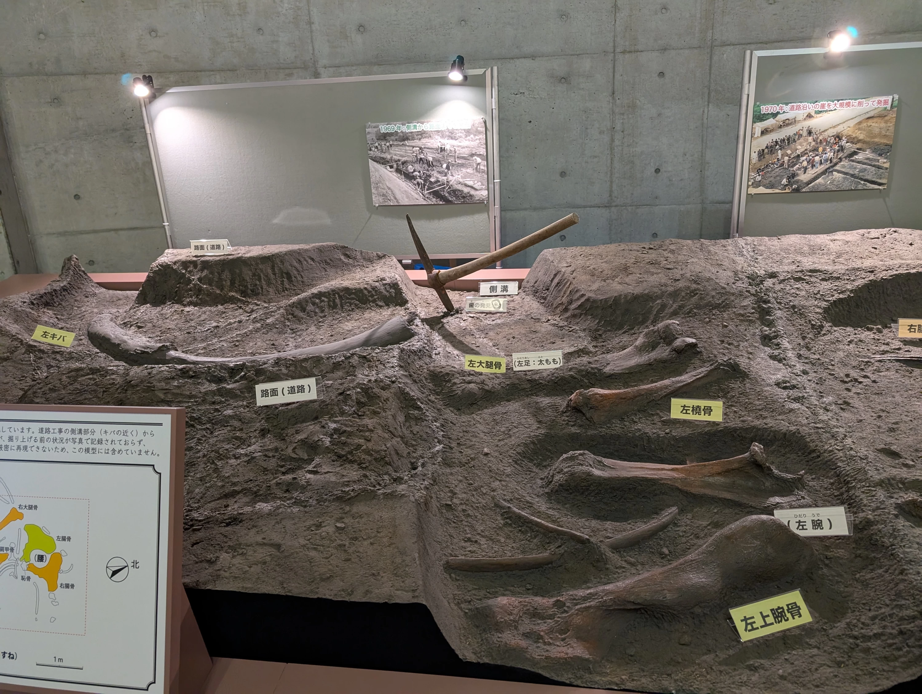 化石発掘現場の再現(現地にて撮影)