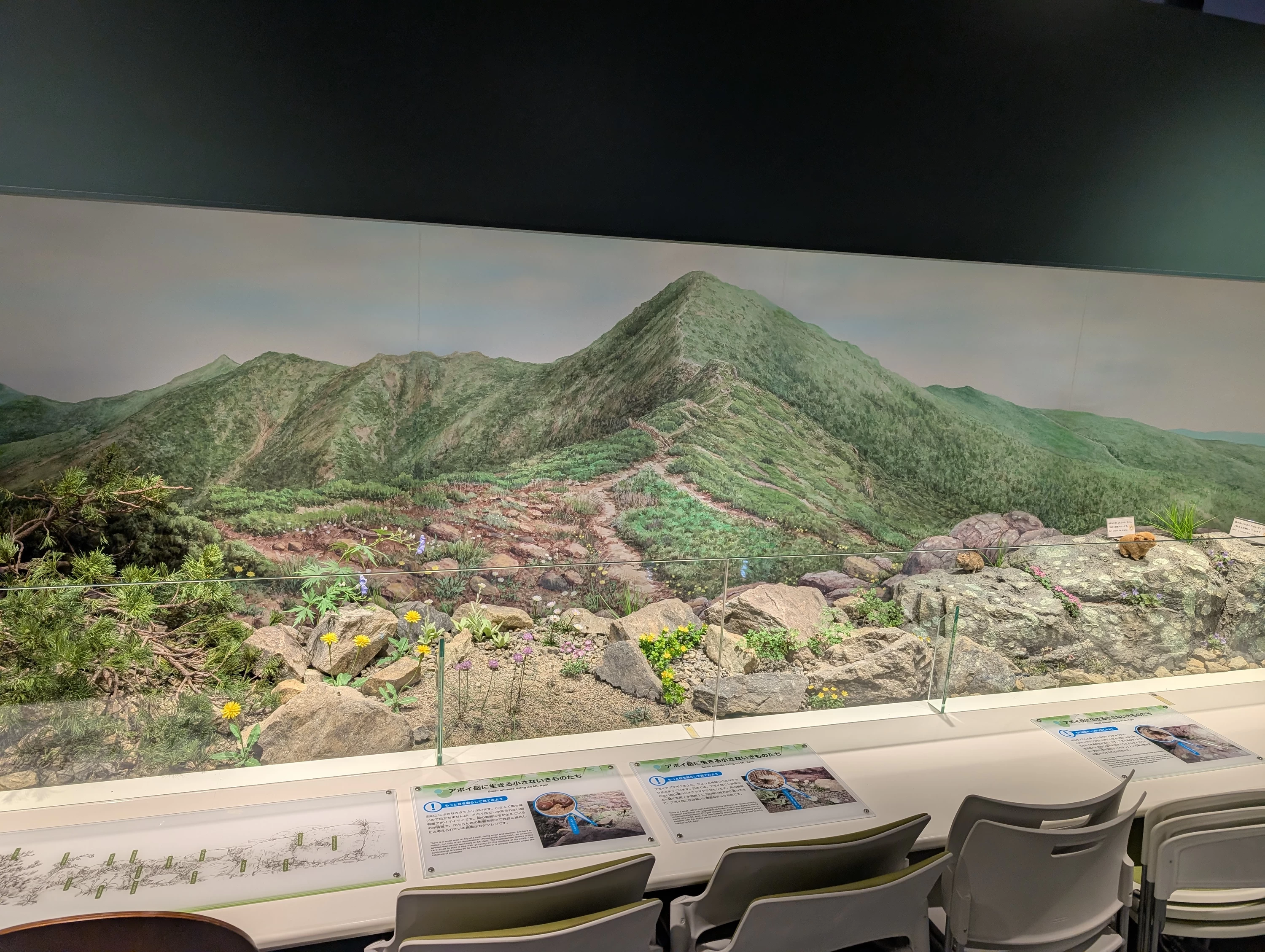 固有種たちの展示(現地にて撮影)