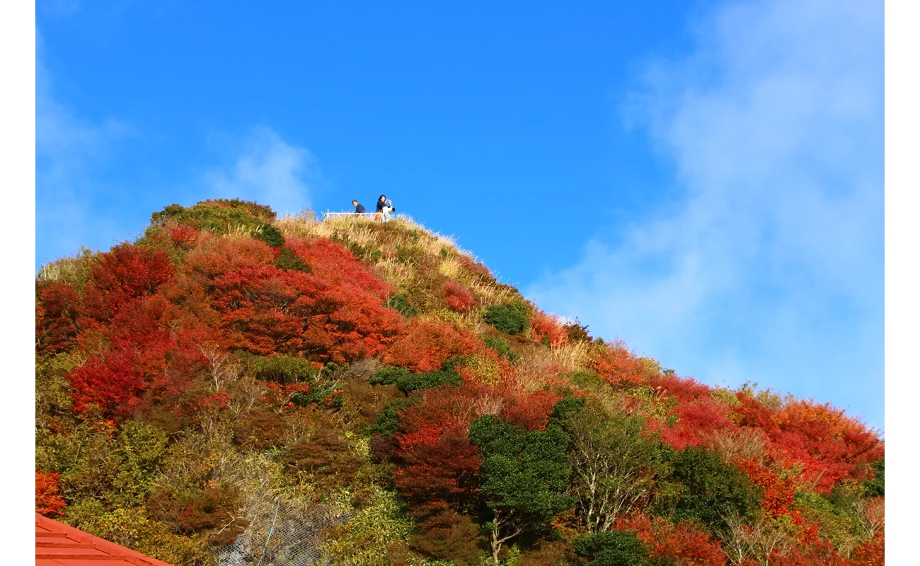 仁田峠(紅葉)