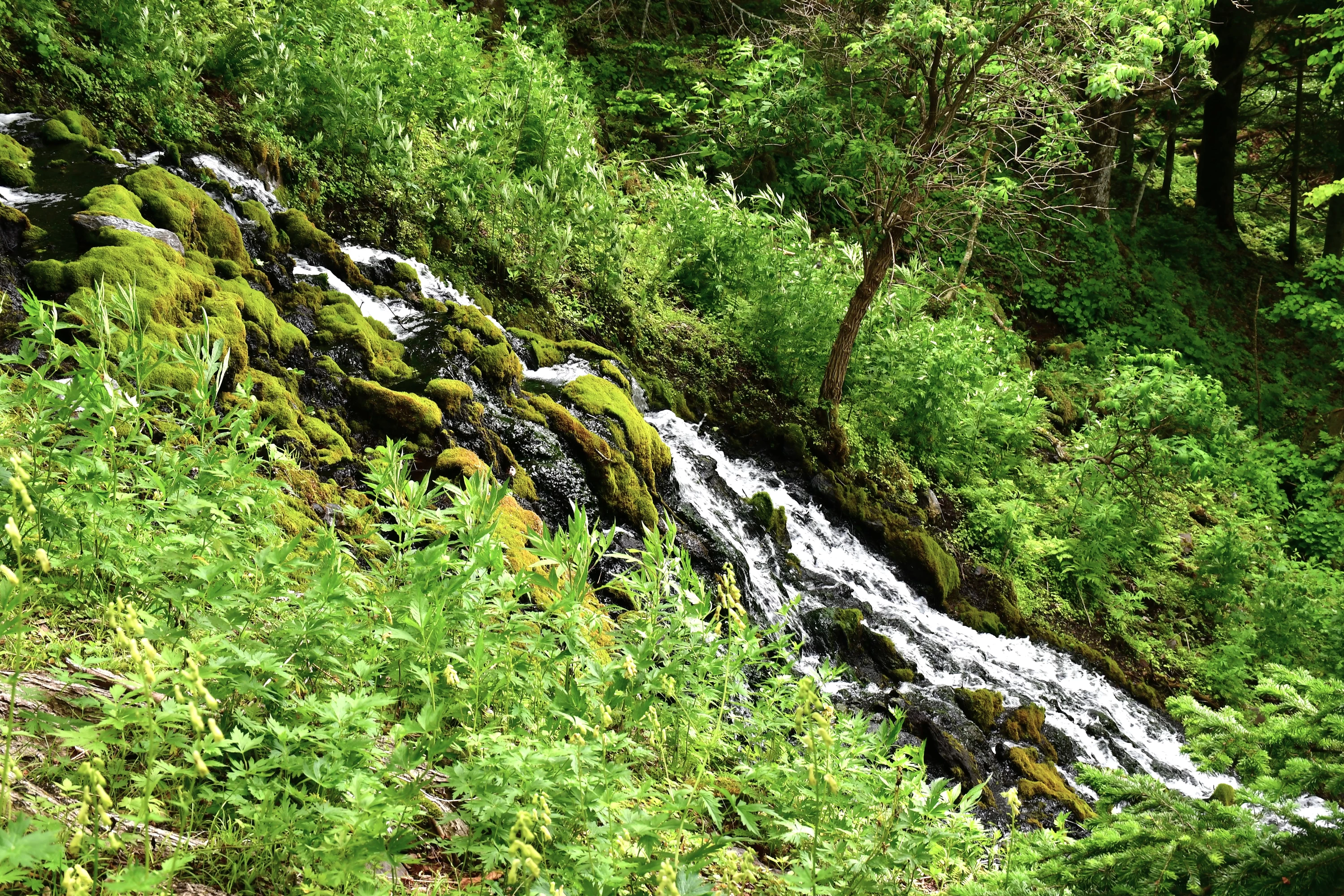 オンネトー湯の滝
