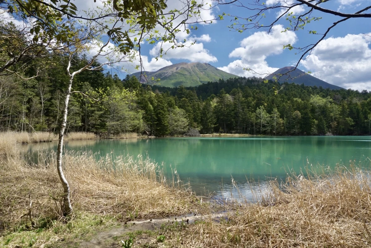 春先はエメラルドグリーンに輝く