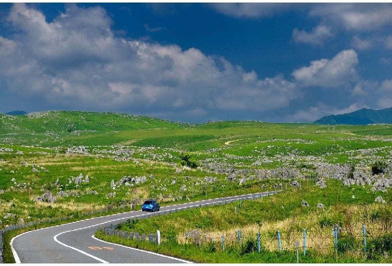 ドライブにも最適