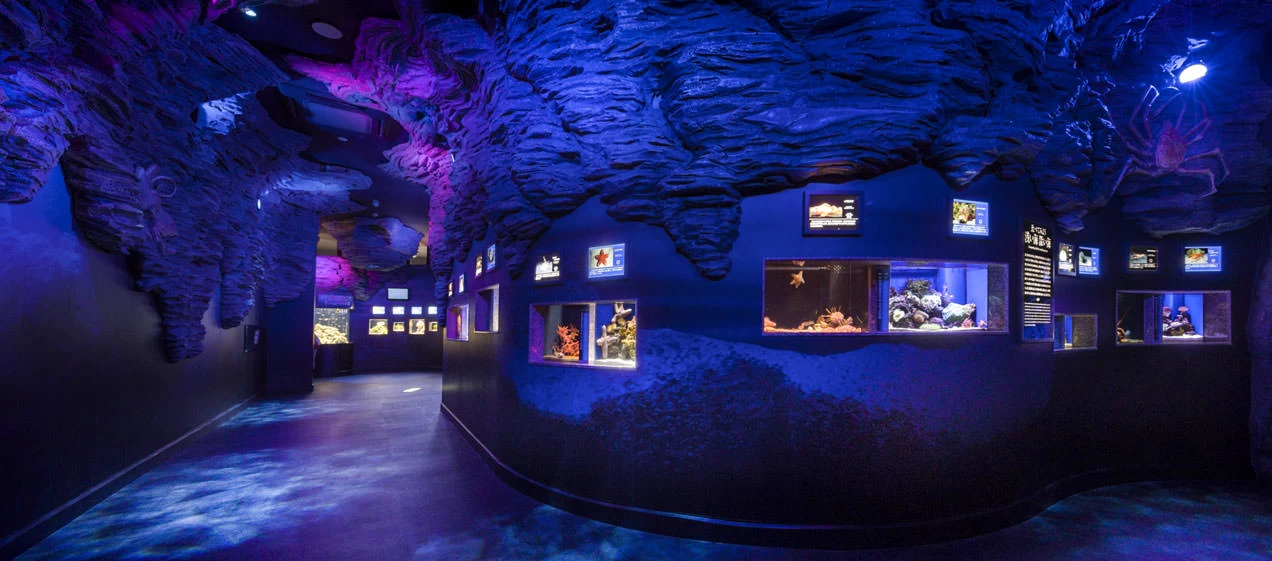 ②沼津港深海水族館 シーラカンス・ミュージアム