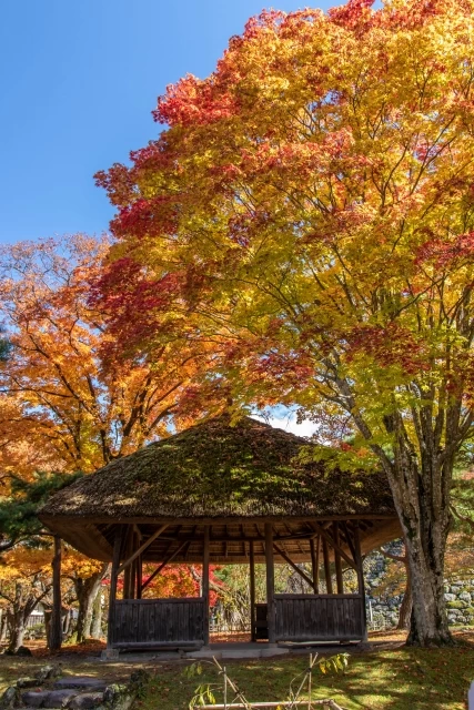 小諸城址 懐古園③