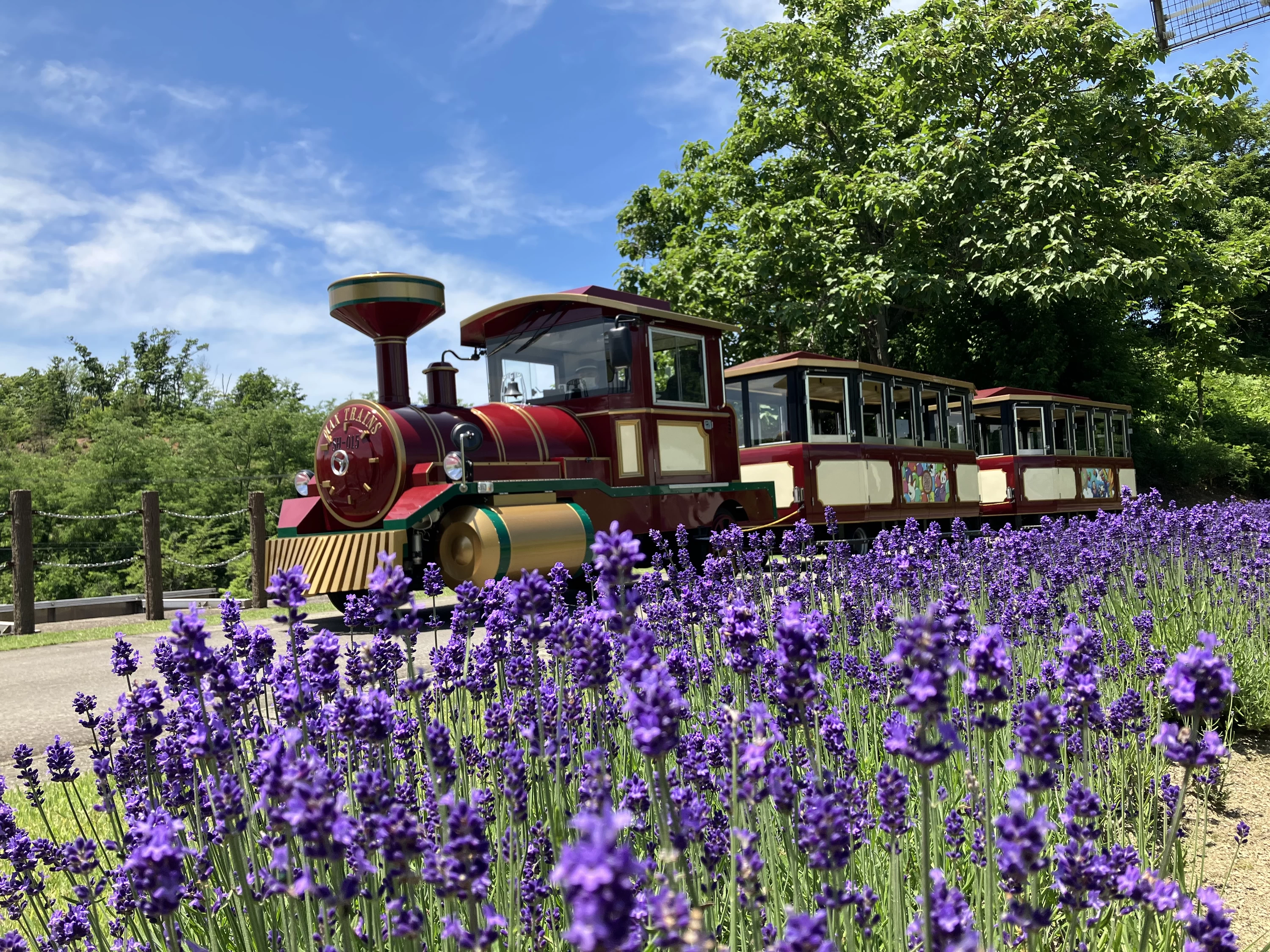 秋田ふるさと村⑤