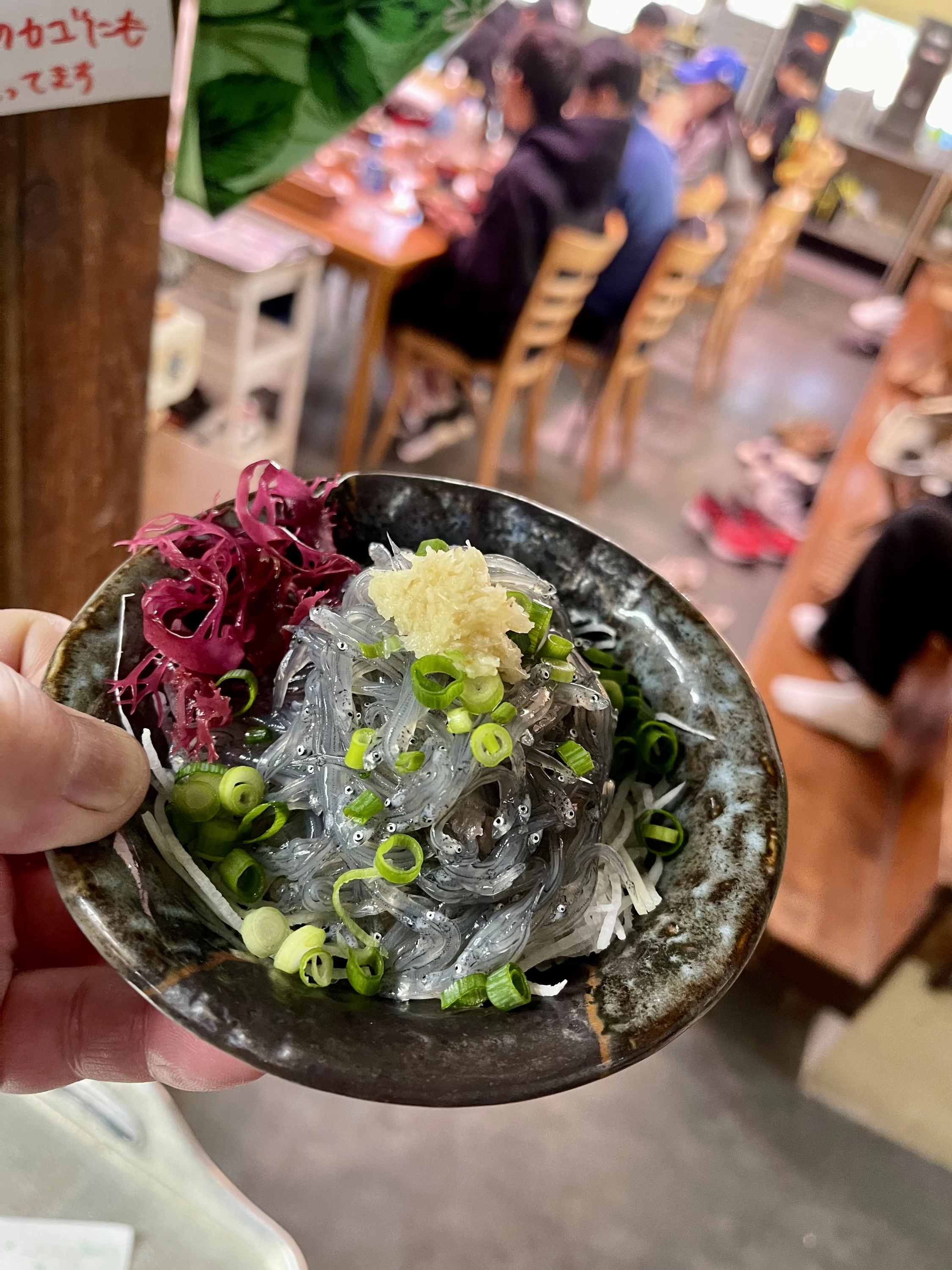 生しらす丼