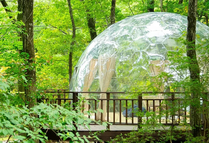 自然に溶け込むグランピングドーム