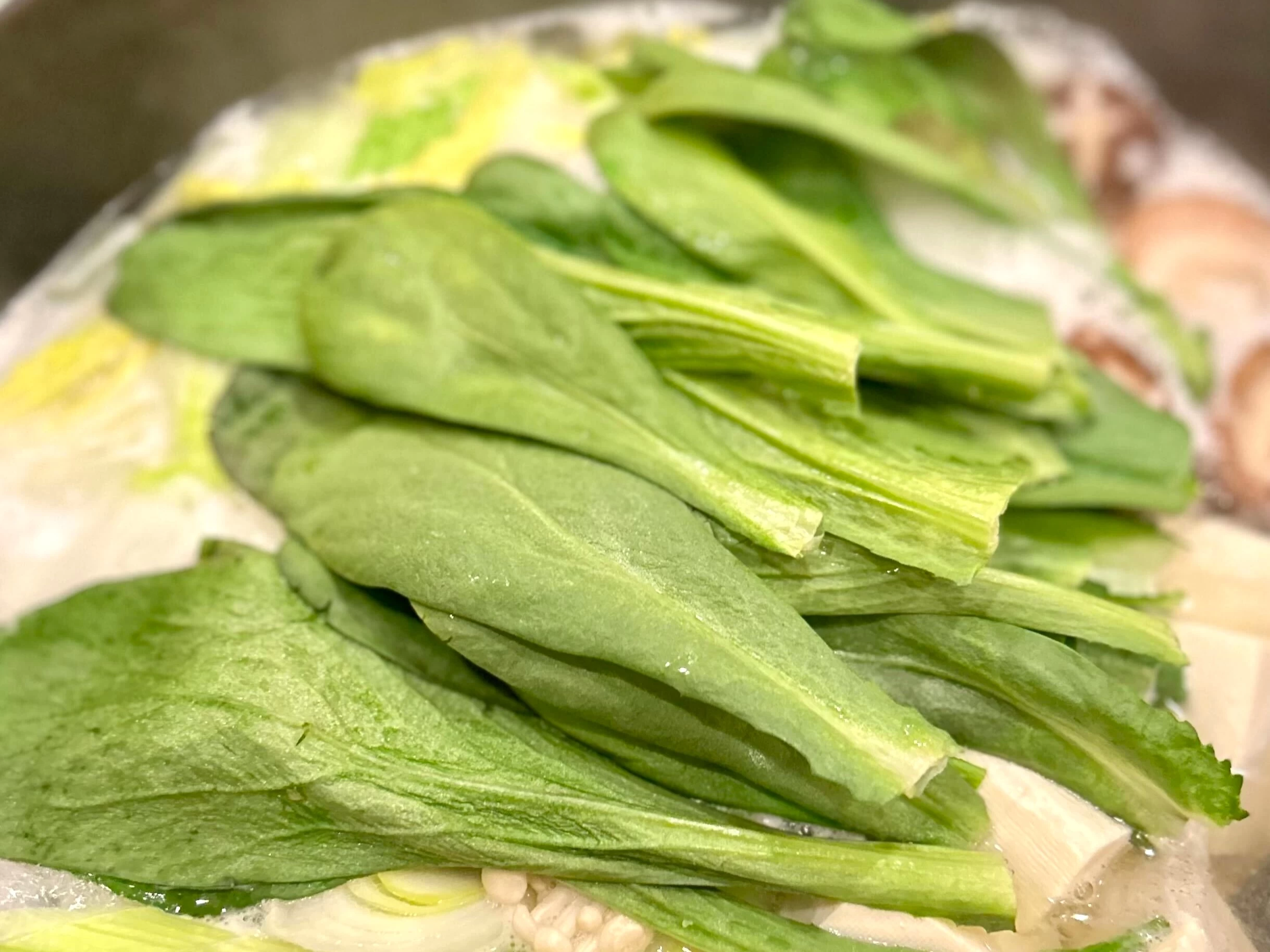 ご当地野菜「ローマ」は春菊の一種（現地にて撮影）