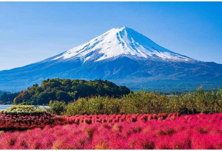 湖と富士山を一望