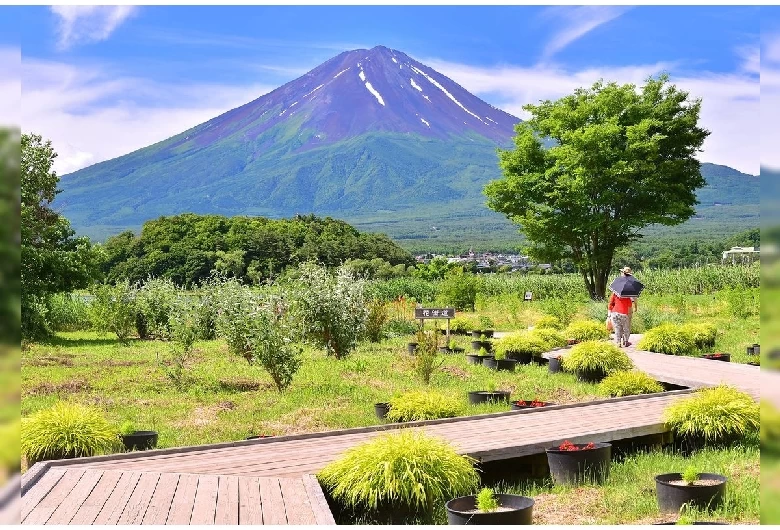 大石公園（初夏）
