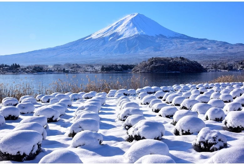 大石公園（冬）
