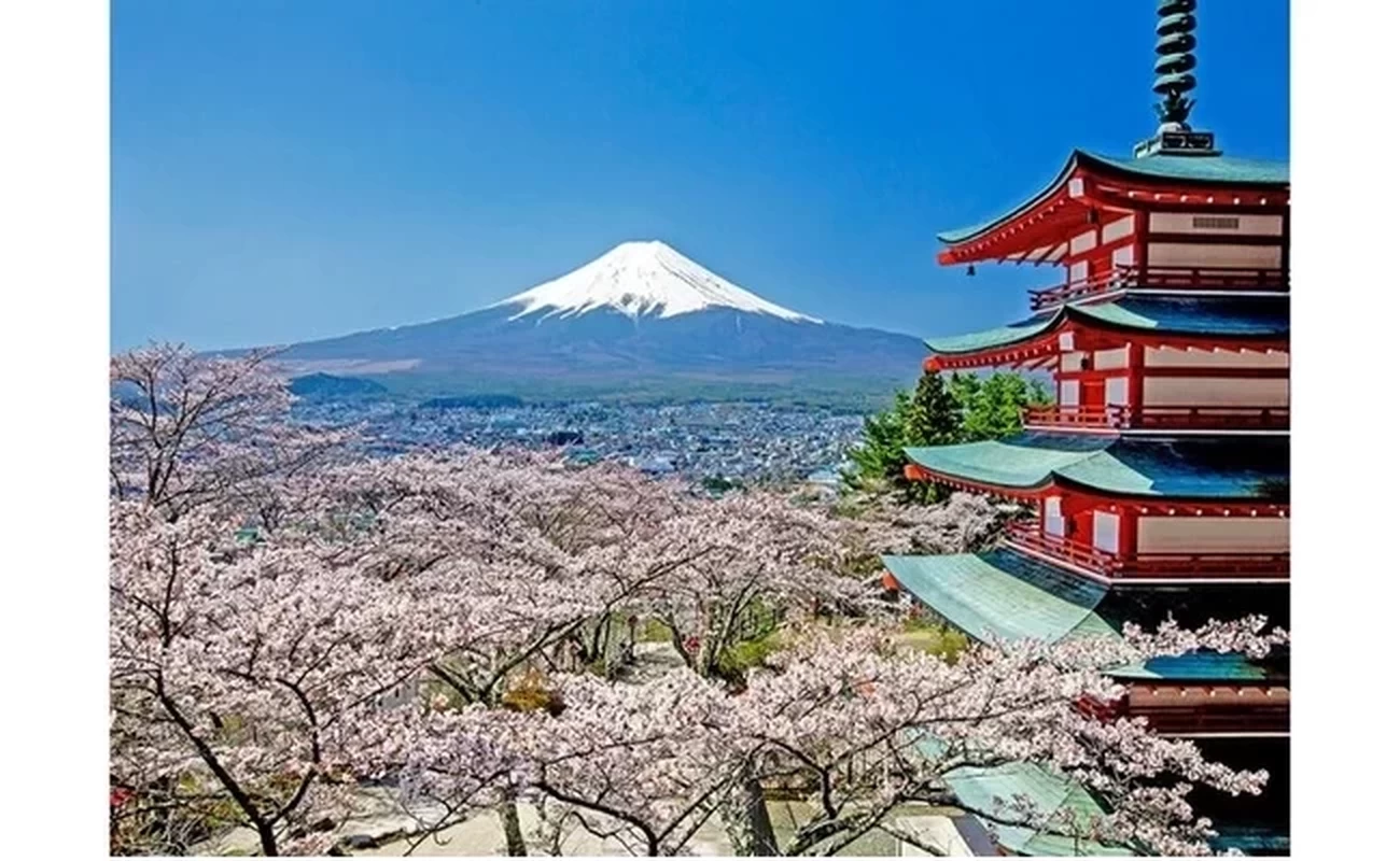 新倉山浅間公園（春）